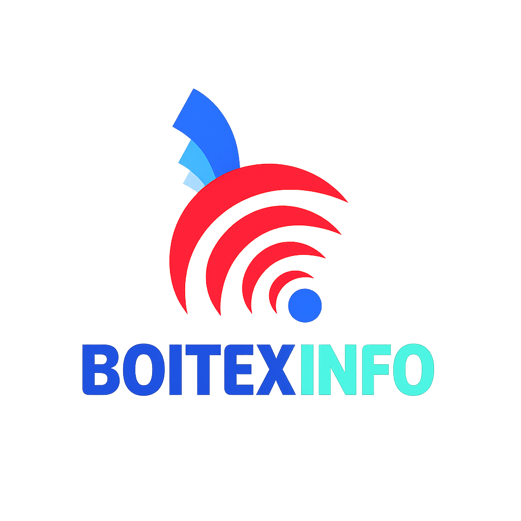 Boitex Info Logo